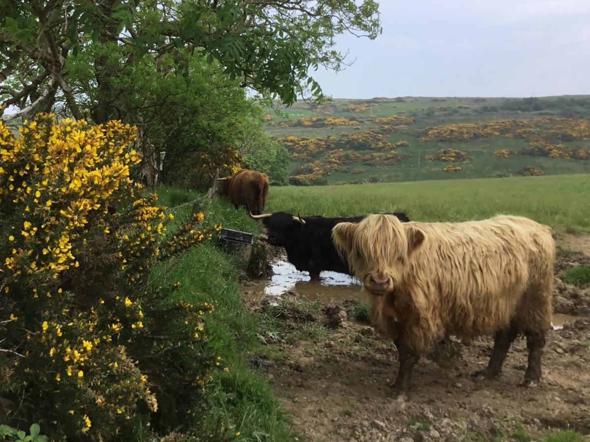 Chapelhill Hideaway Isle Of Bute Licence Ar00654F Apartman Rothesay Kültér fotó